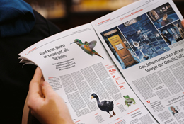 Staatsanzeiger Baden-Württemberg Relaunch 2025